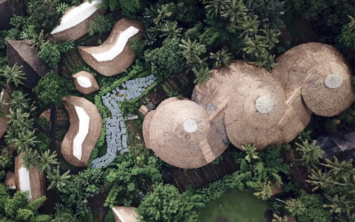 Designing for the Future: Elevate ED’s Approach to Sustainable Learning Spaces